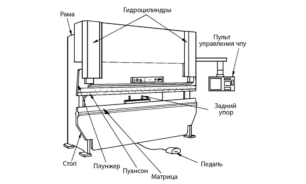 Строение листогиба